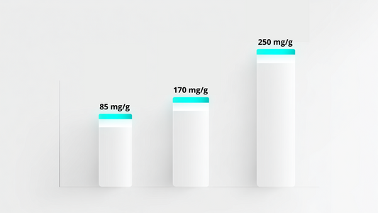 Czym różnią się saszetki 85 mg, 170 mg i 250 mg kofeiny?